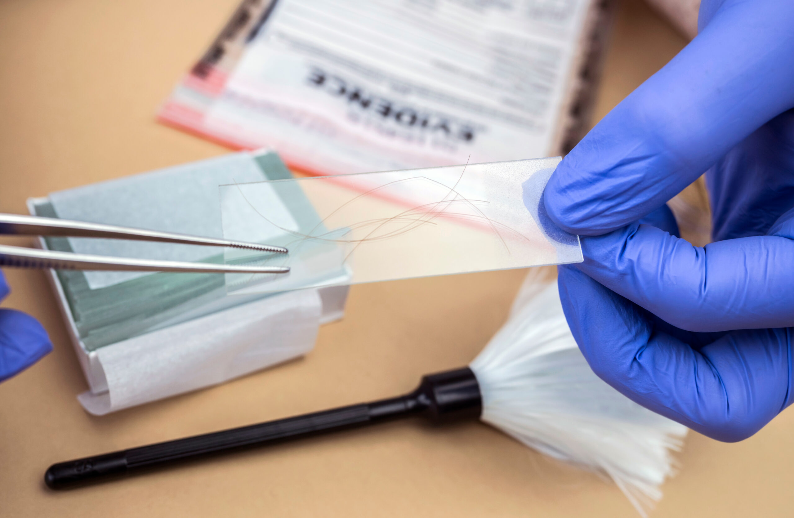we recover mtdna
